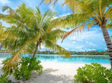 Al Rahaa Resort Maldives - Popoln...