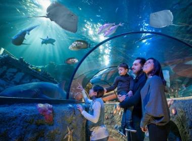 Gardaland Park - Sea life Aquarium   ,...