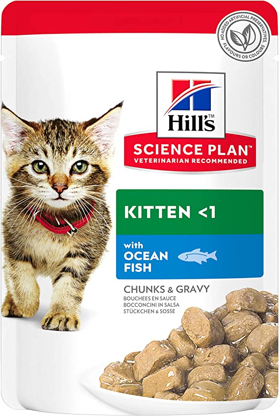 Hill's Science Plan Kitten mačja...