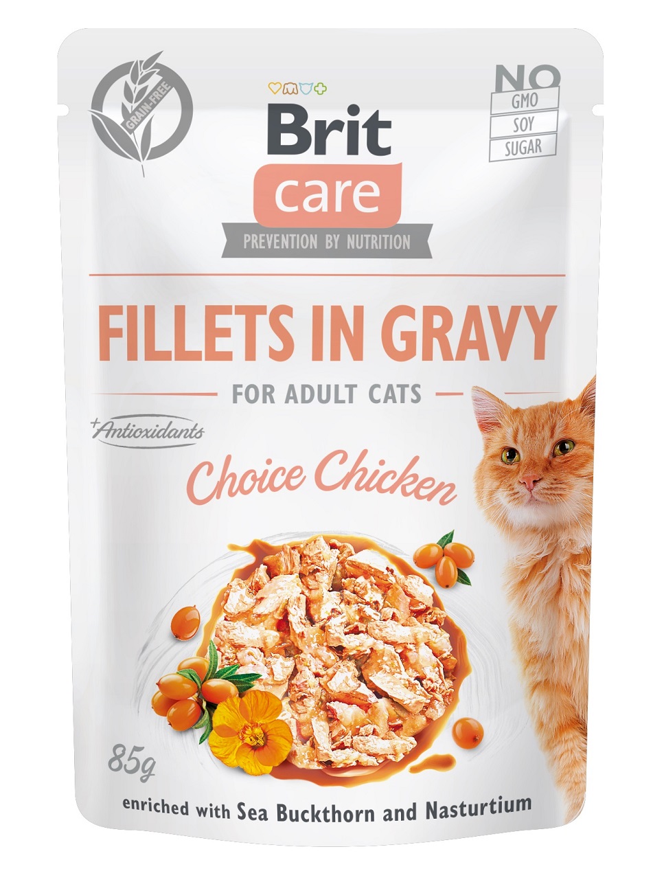 Brit Care Cat Fillets in Gravy -...