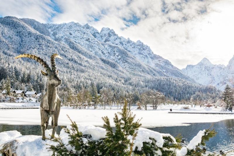 Hotel Alpina - Zima v sanjski Kranjski, Kranjska