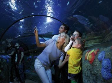 Gardaland Park - Kombinirana...