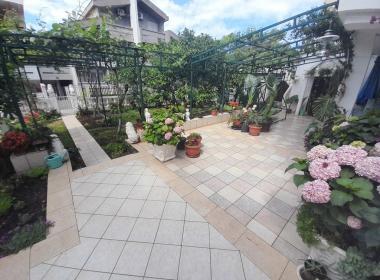 Villa Montenegro - Začetek in konec...