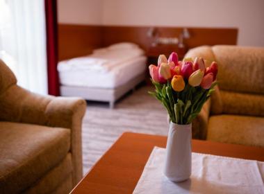 Hotel Ovit - Oddih na Madžarskem,...