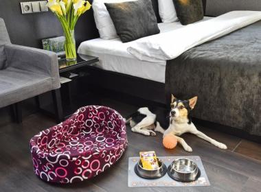 Hotel Ametyst - Butični hotel v...