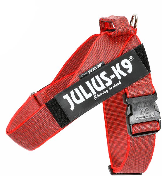 Julius-K9 IDC oprsnica,...