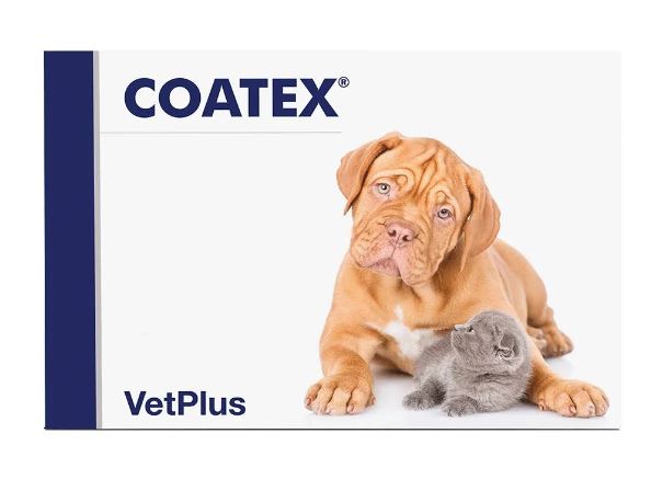 Coatex kapsule 60 kosov
