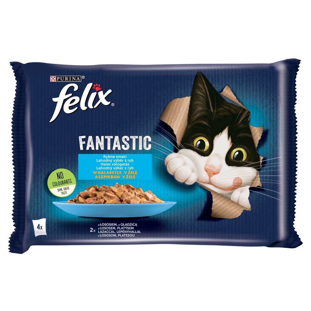 Felix Fantastic - Koščki v...