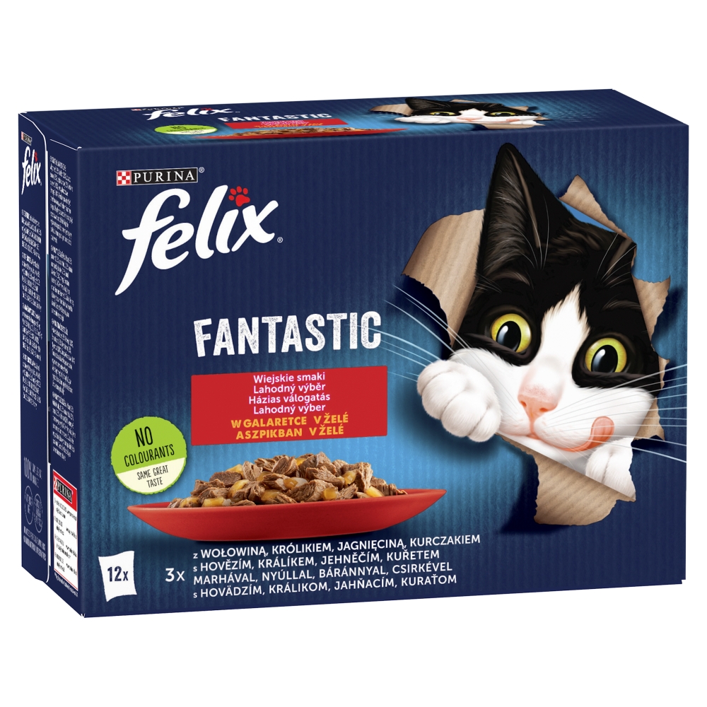 Felix Fantastic - domači...
