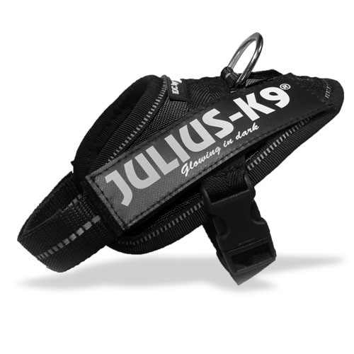 Julius-K9 IDC power oprsnica,...