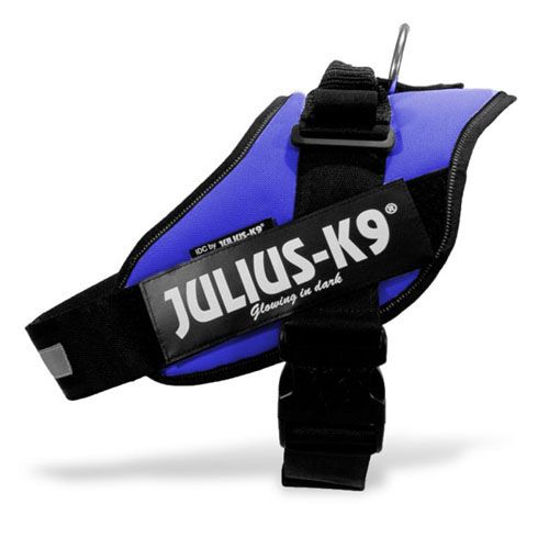 Julius-K9 IDC power oprsnica,...
