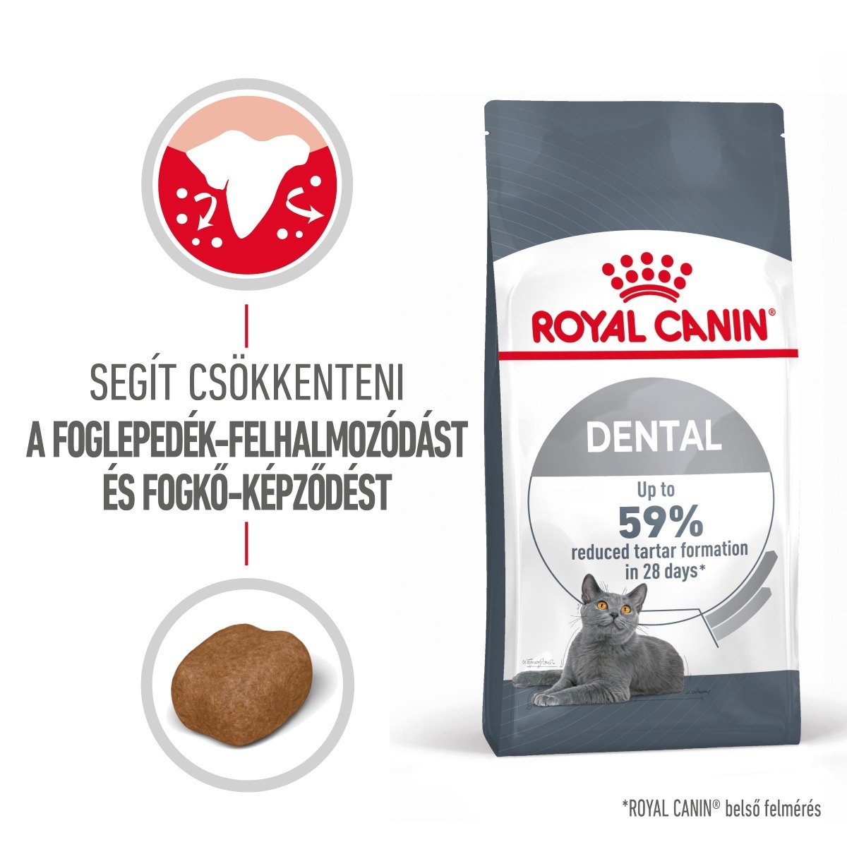 Royal Canin Oral Care - suha hrana za...