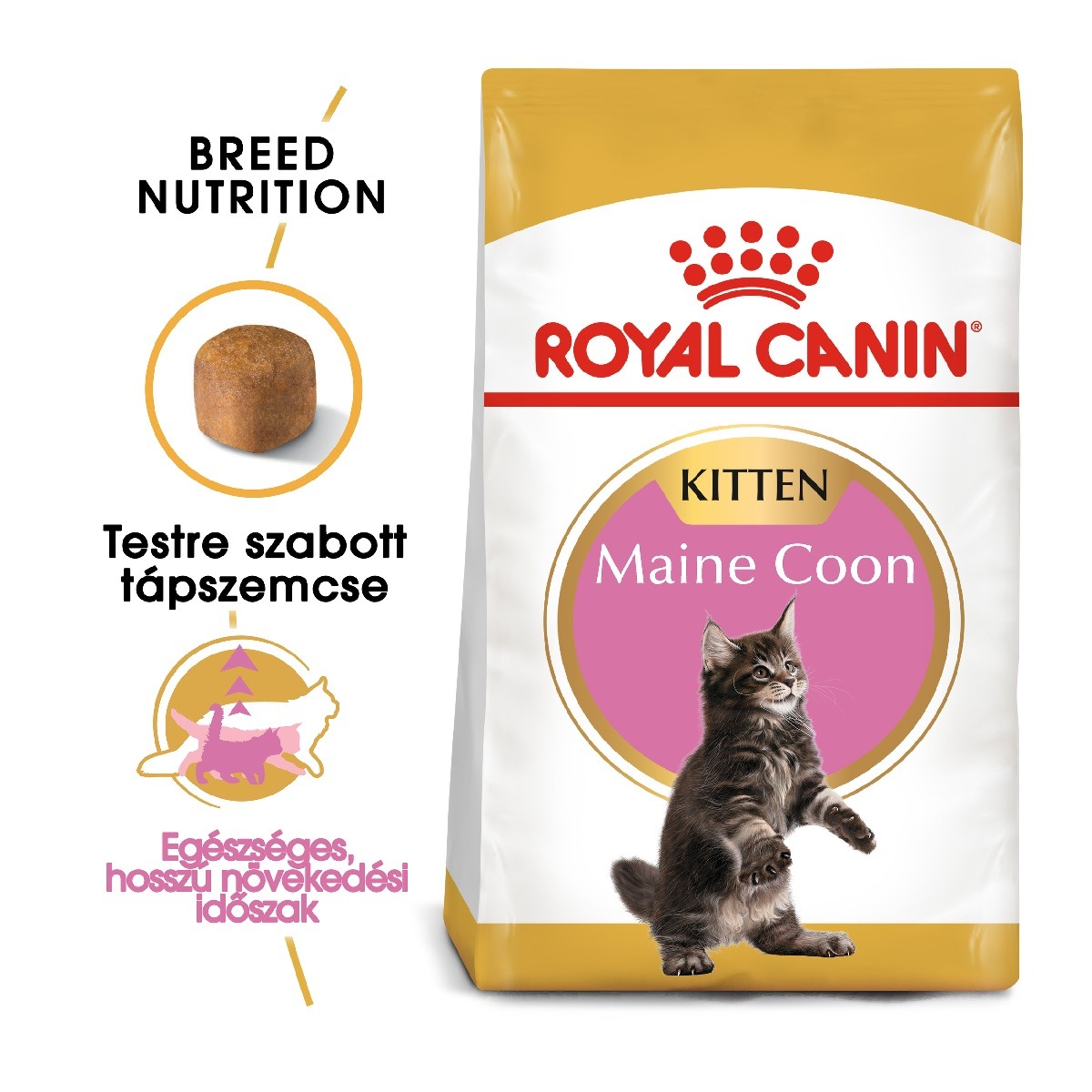 Royal Canin Maine Coon Kitten - suha...