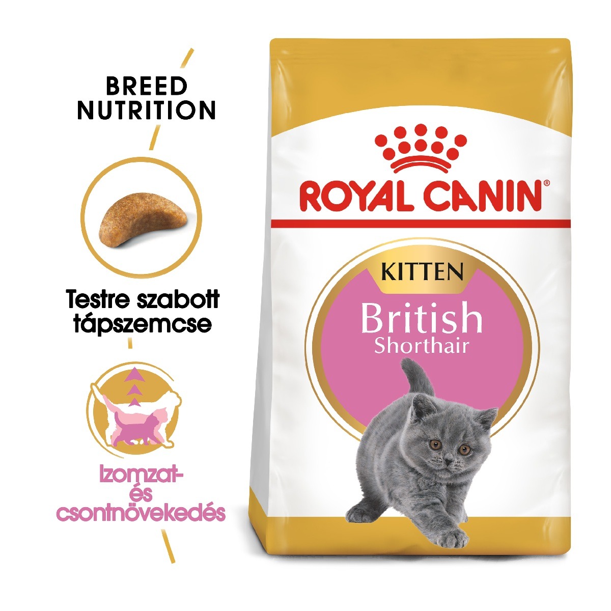 Royal Canin Kitten British Shorthair -...