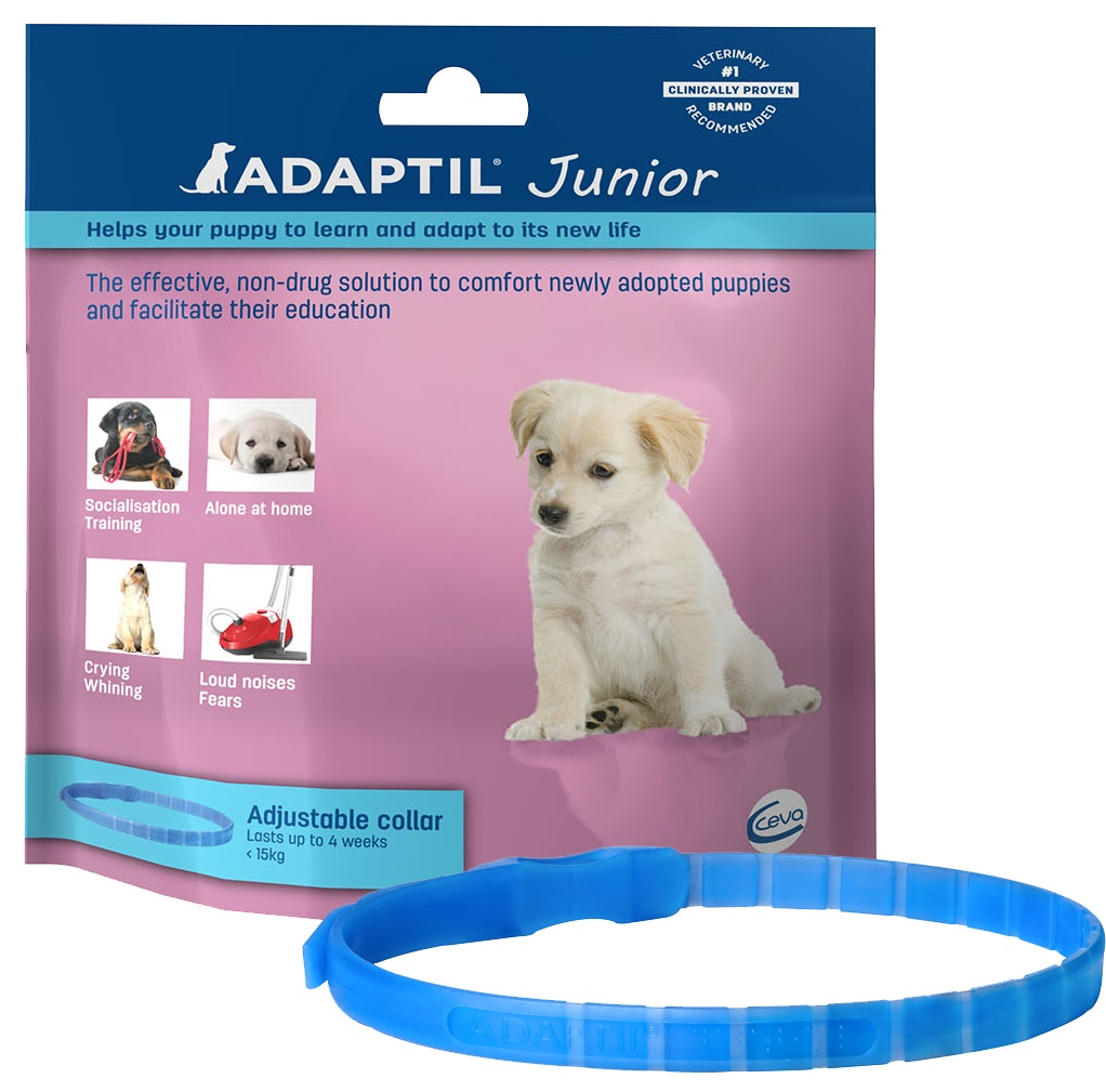 Adaptil Junior ovratnica za pse 1 kos