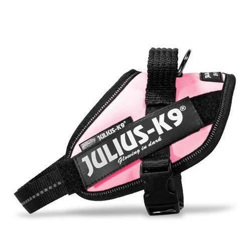 Julius-K9 IDC power oprsnica, pink...