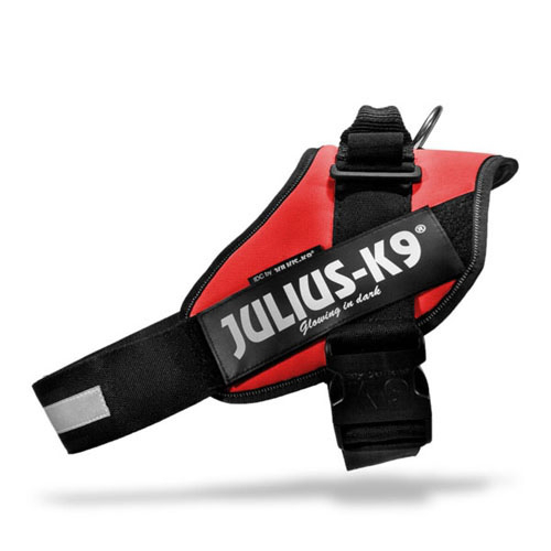 Julius-K9 IDC power oprsnica, rdeča 0...