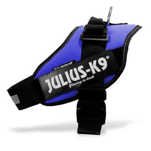 Julius-K9 IDC power oprsnica, modra 0...