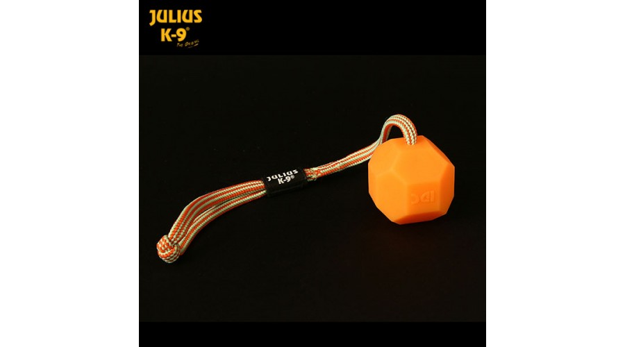 Julius-K9 IDC florestenčna žoga z...
