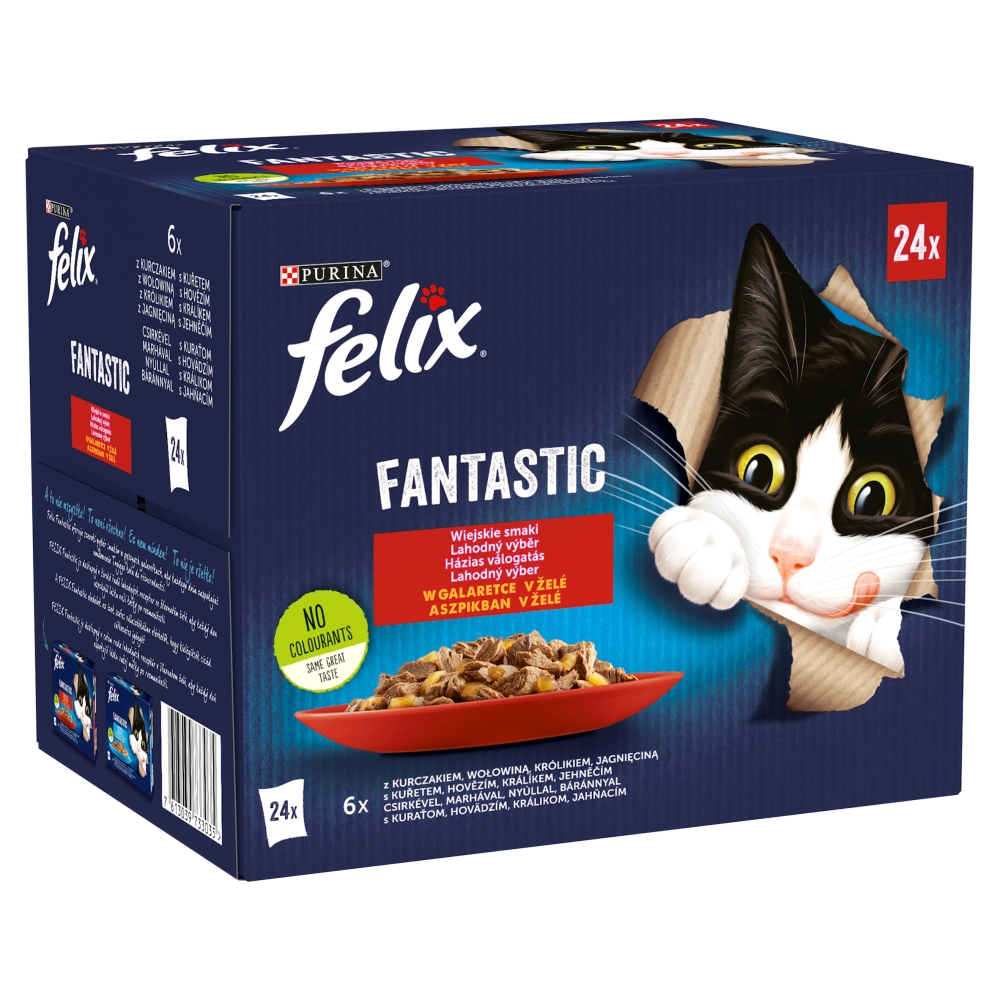 Felix Fantastic - domači izbor v...