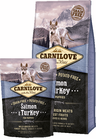 CarniLove Puppy Salmon & Turkey 12 kg