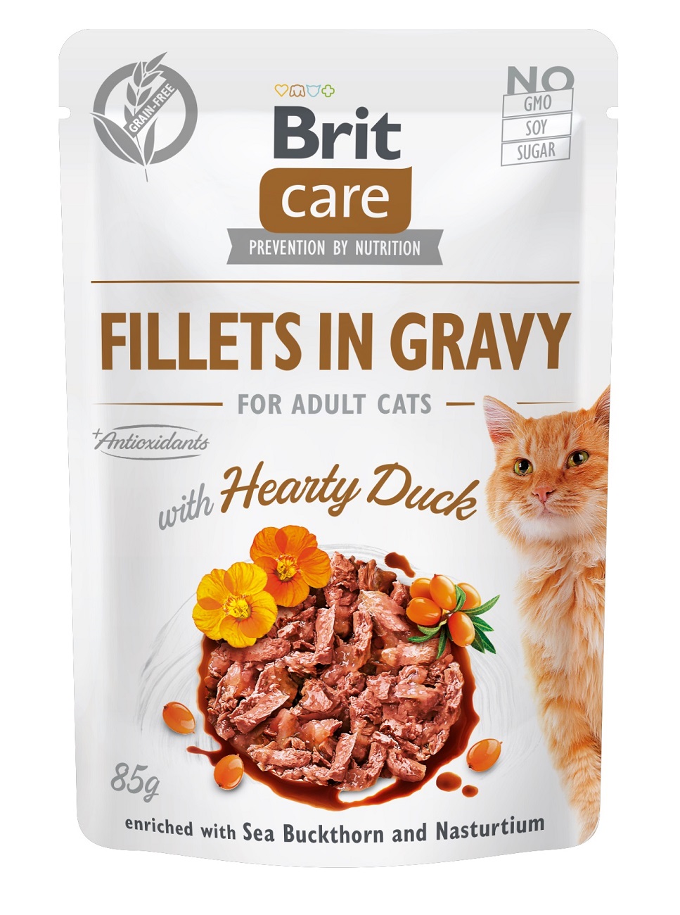 Brit Care Cat Fillets in Gravy - Raca...