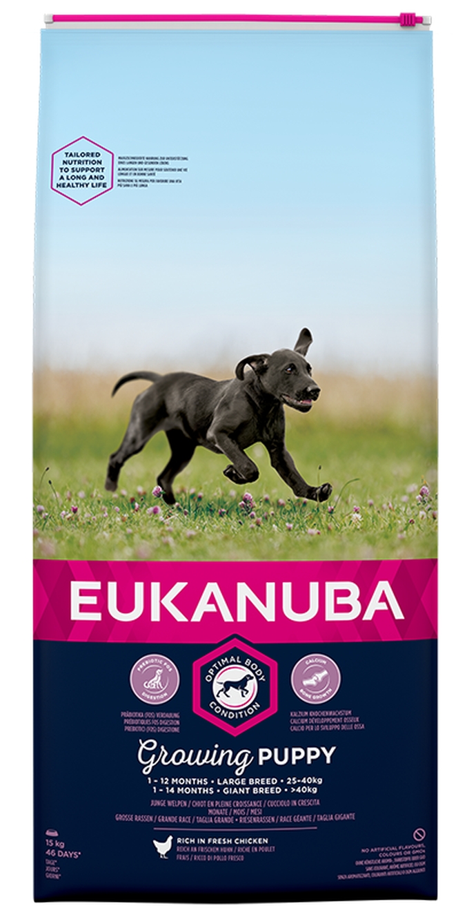 Eukanuba Puppy Large Breed - piščanec...