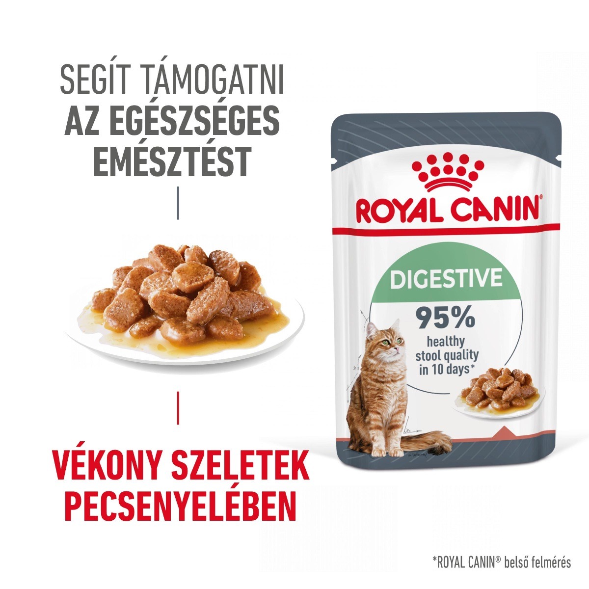 Royal Canin Digestive Care - mokra...