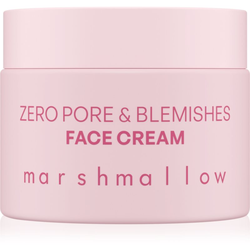 Nacomi Zero Pore & Blemishes krema za...