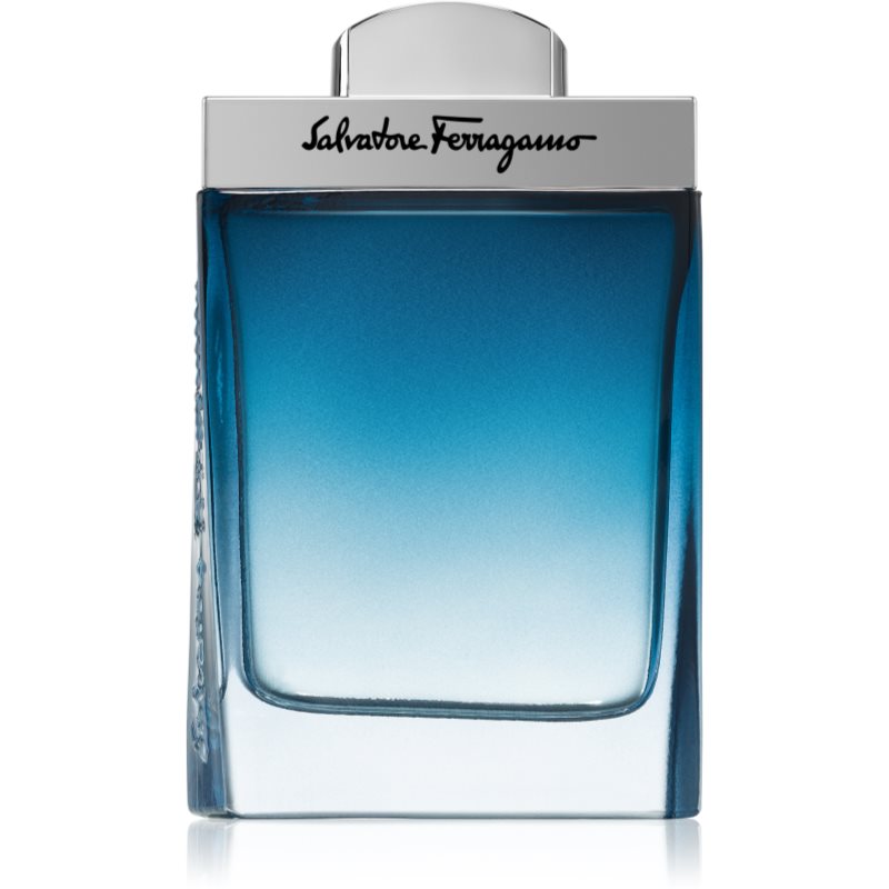 Ferragamo Subtil Pour Homme toaletna...