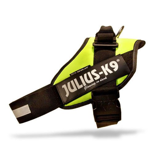 Julius-K9 IDC power oprsnica, neonsko...