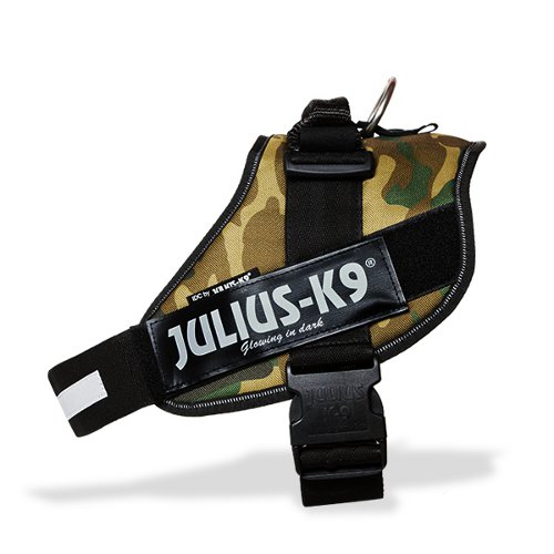 Julius-K9 IDC power oprsnica, teren...