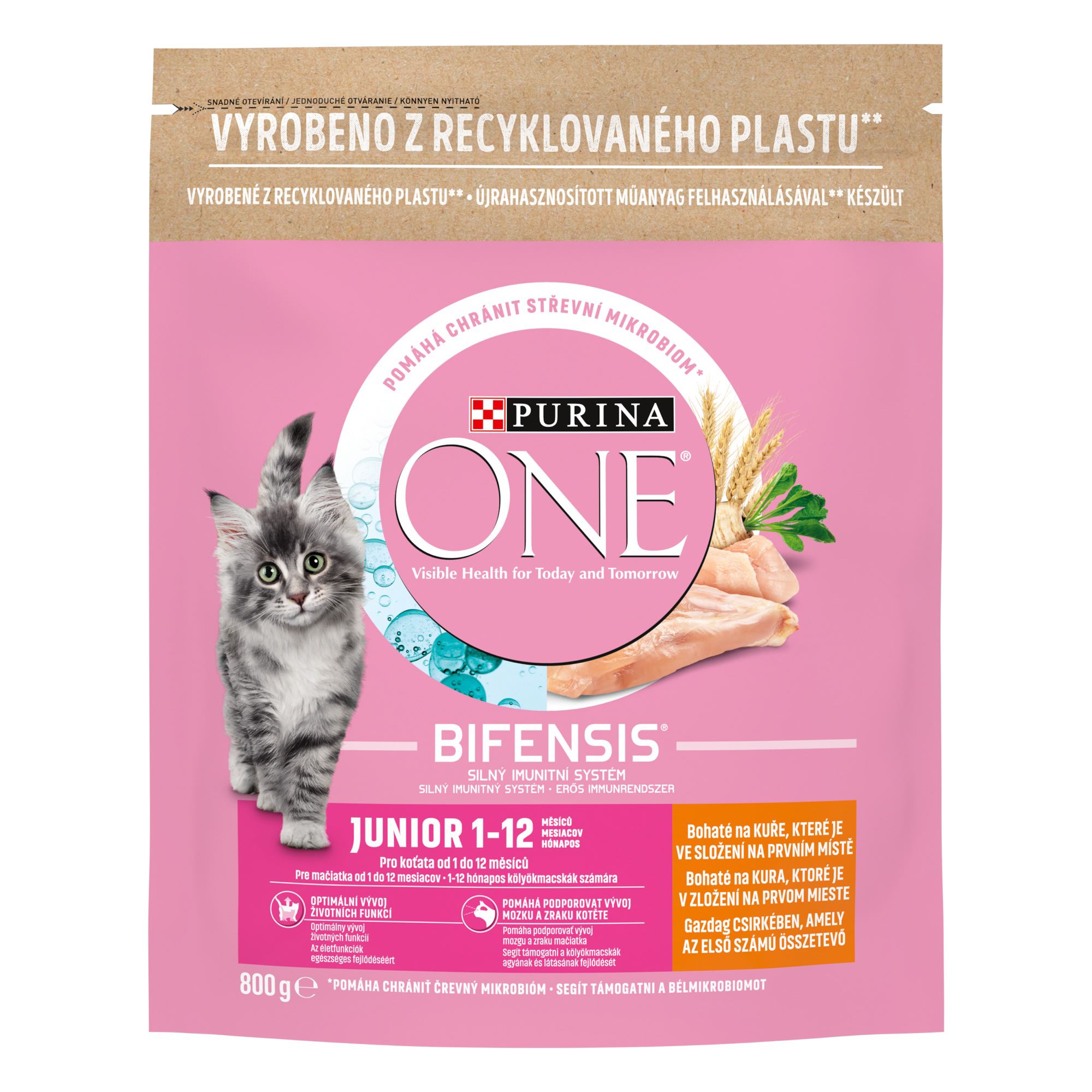 Purina ONE Bifensis Junior Chicken 0,8...