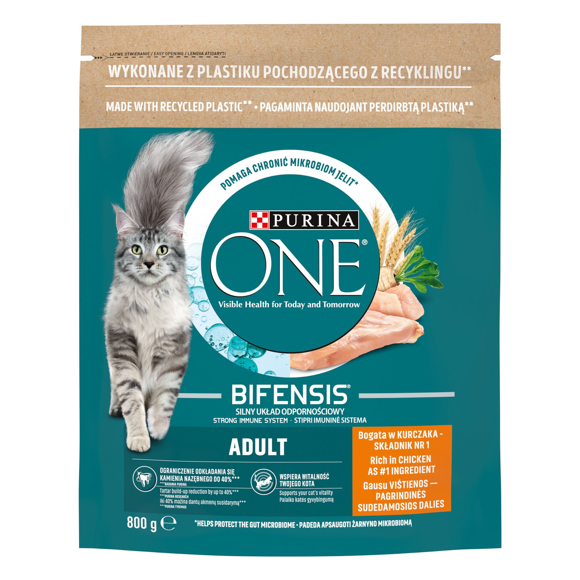 Purina ONE Adult Chicken 0,8 kg