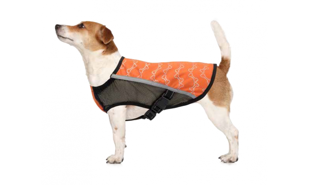 Camon varnostna obleka 36 cm (C789/3)