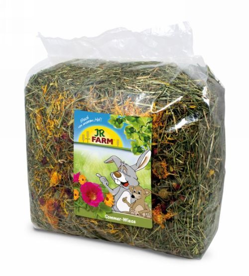 JR Farm Poletni travnik 500 g
