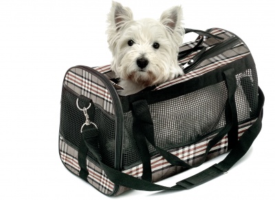 Flamingo Mayfair transportna škatla S