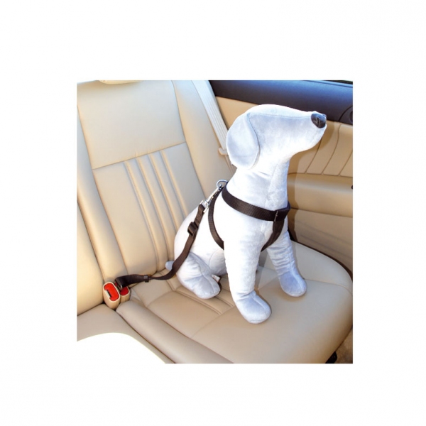 Camon varnostna oprsnica za avtomobil...