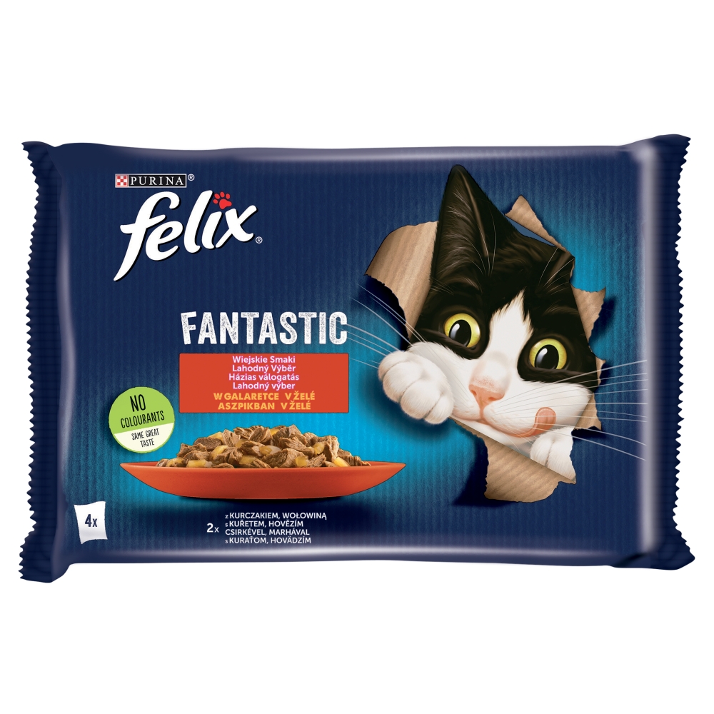 Felix Fantastic - Domači izbor z...