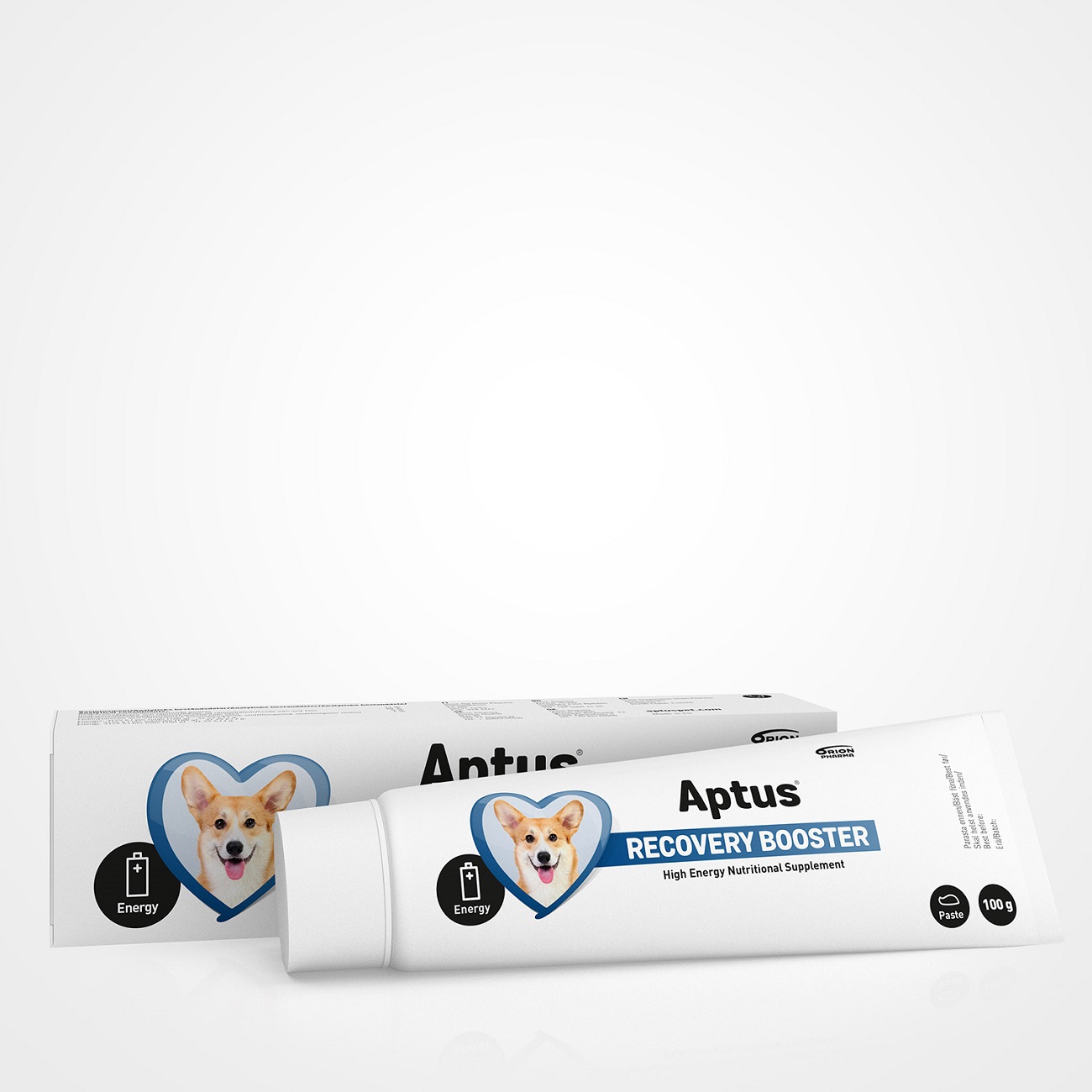 Aptus Recobooster pasta za pse 100 g