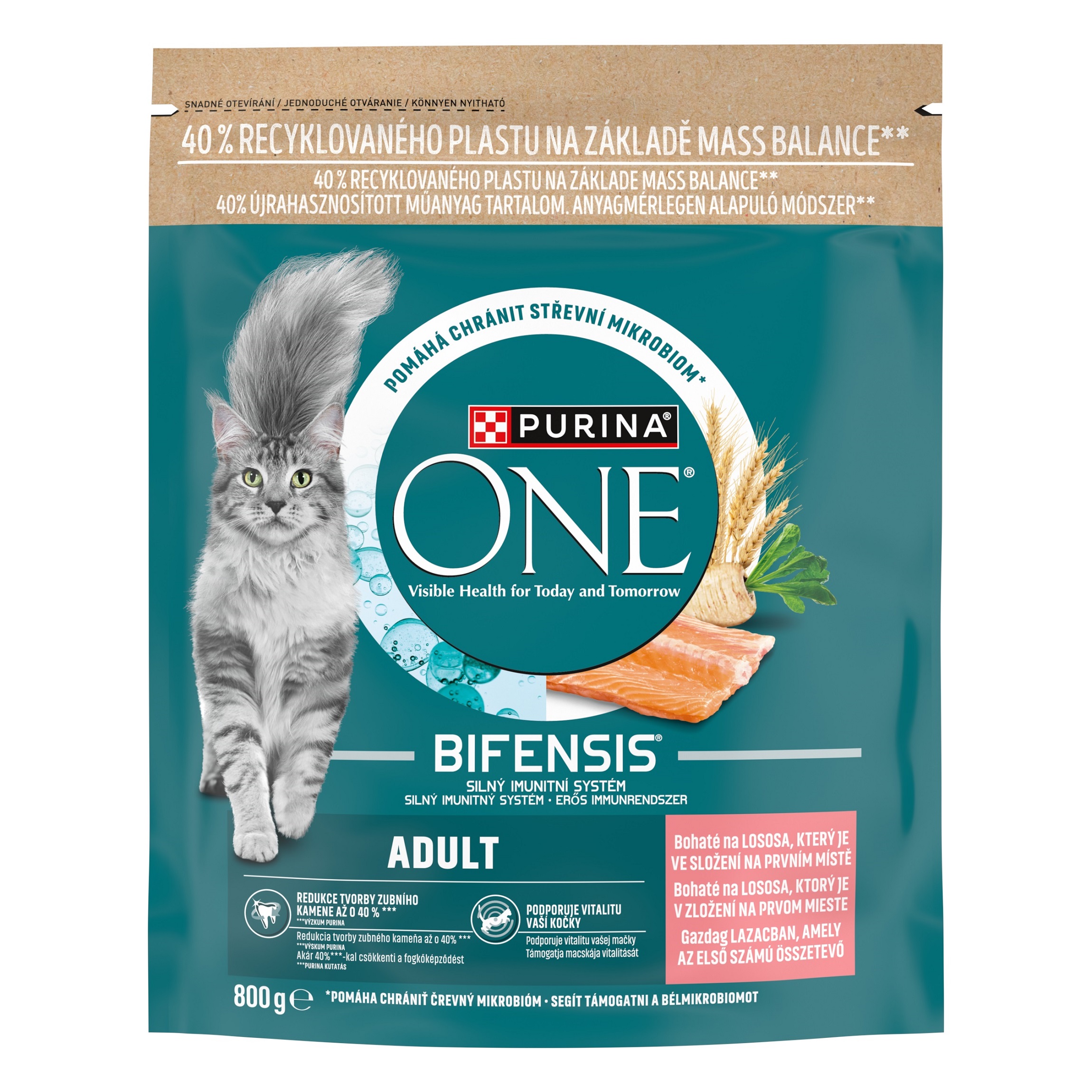 Purina ONE Bifensis Adult Salmon 9,75 kg