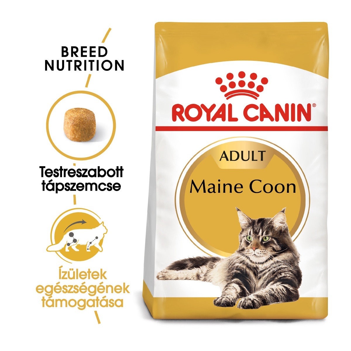 Royal Canin Maine Coon Adult - suha...