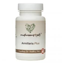Mushrooms4pets Armillaria Plus 60 kosov