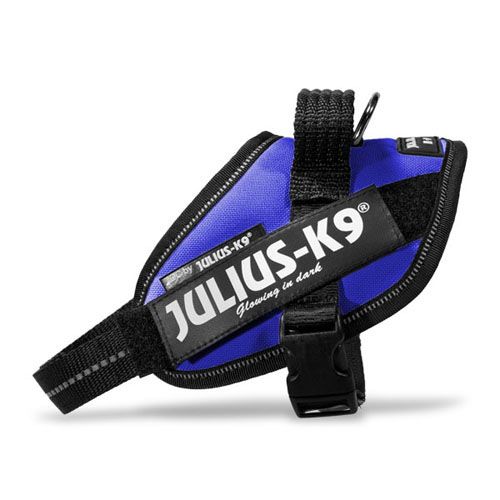 Julius-K9 IDC power oprsnica, modra...