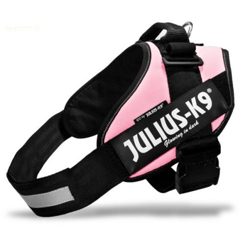 Julius-K9 IDC power oprsnica, pink 1-ka...